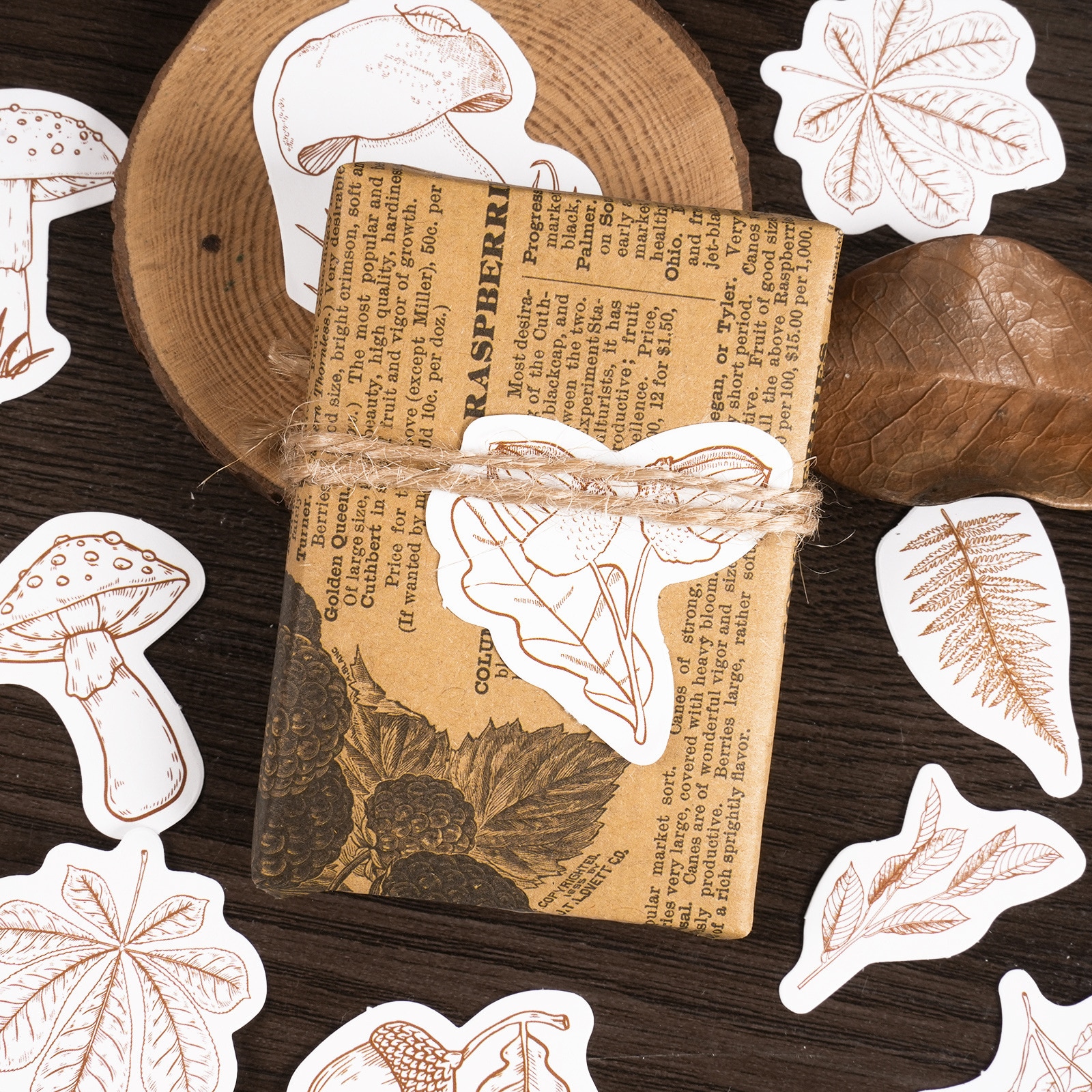 46Pcs Forest Dance Decorative Boxed Stickers Vintage Line Plants Scrapbooking Label Diary Album Journal Planner - Image 3