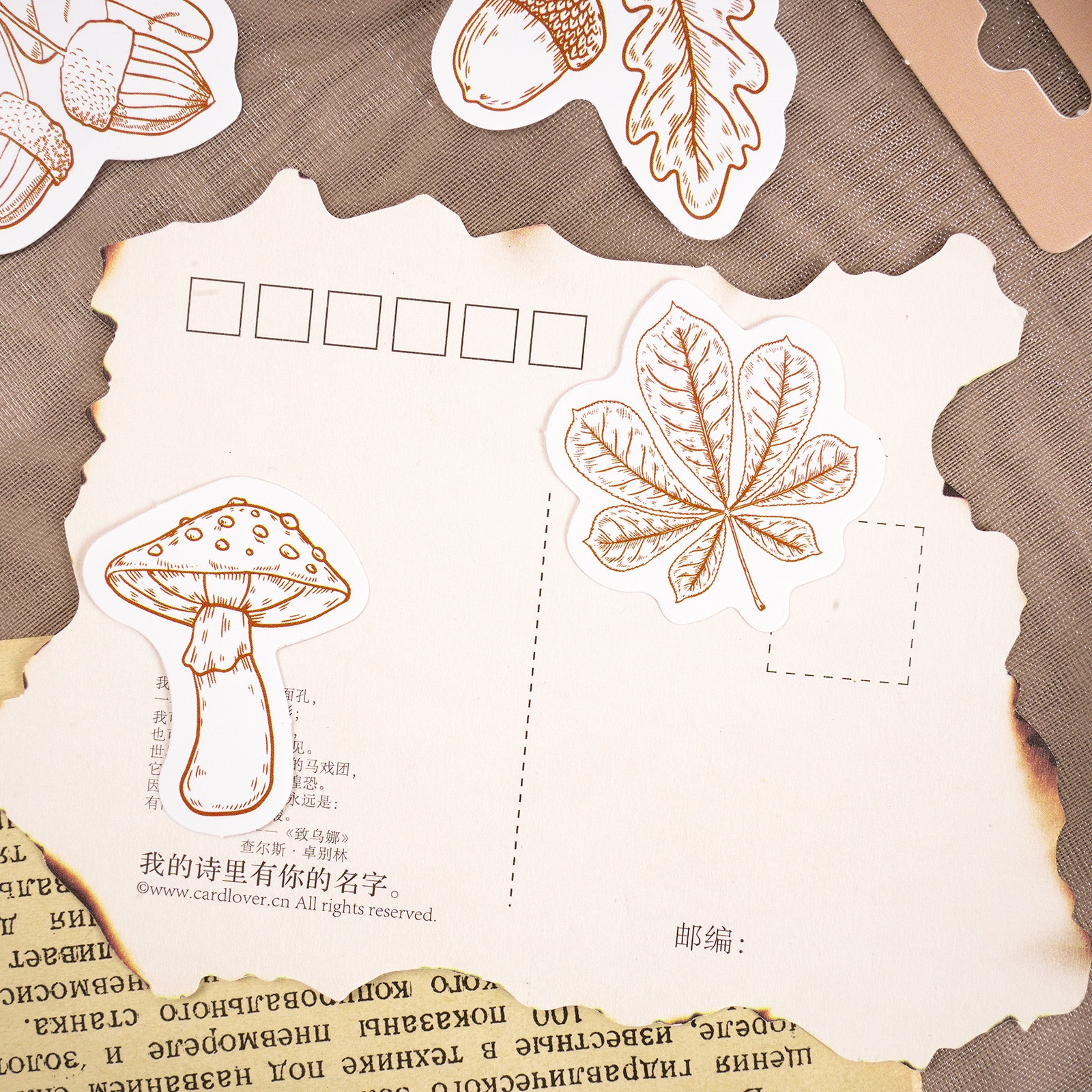 46Pcs Forest Dance Decorative Boxed Stickers Vintage Line Plants Scrapbooking Label Diary Album Journal Planner - Image 4